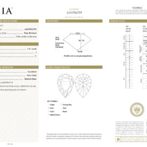 White Gold Mix Cut Fancy Diamond & Colorless Diamond Earrings - 3.16ct-5613