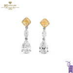 White Gold Mix Cut Fancy Diamond & Colorless Diamond Earrings - 3.16ct-0