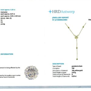 Yellow Gold Brilliant Cut Diamond Flower Droplet Necklace - 0.29ct -16523