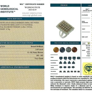 White Gold Brilliant Cut Diamond with Fancy Brown Diamonds - 2.45ct-16454