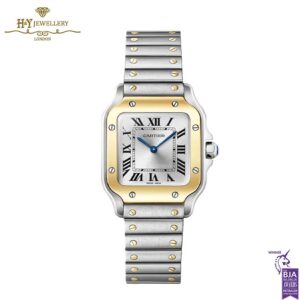 Cartier Santos de Cartier Steel & Yellow Gold - ref W2SA0033-0